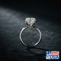 Elodie Hidden Halo Engagement Ring | Round Natural Diamond, Platinum | EverLumina